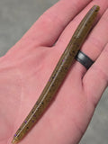 Stick Worm