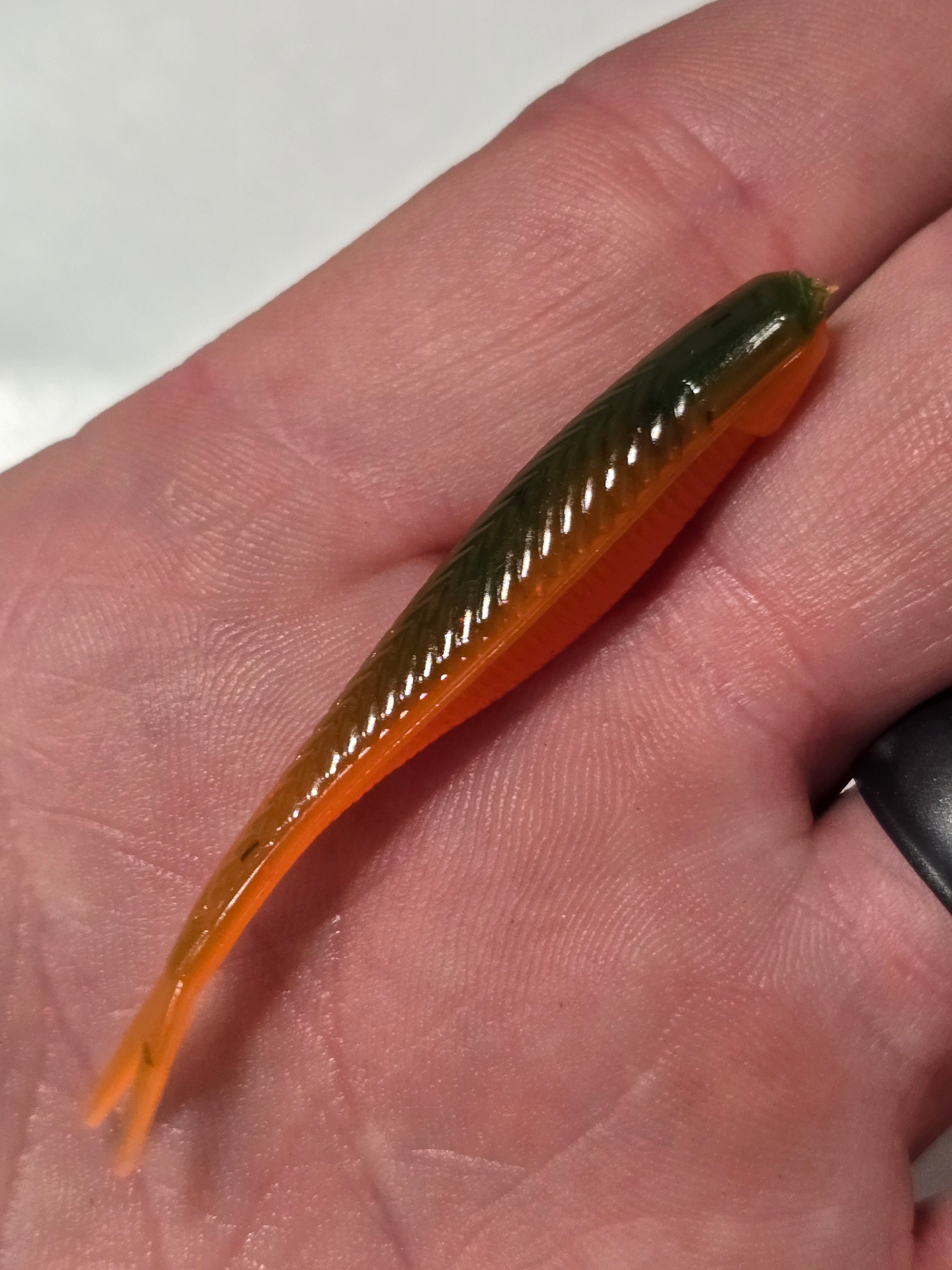 Tracer Shad